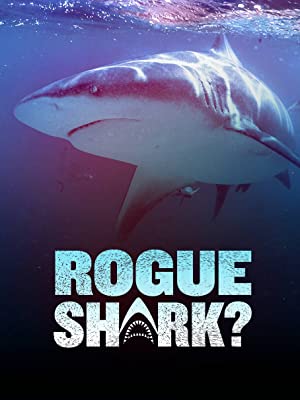 Rogue Shark? (2021)