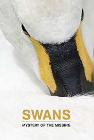 Swans Mystery of the Missing (2019)