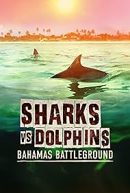 Sharks vs Dolphins Bahamas Battleground (2023)