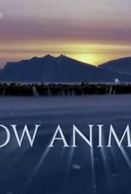 Snow Animals (2019)