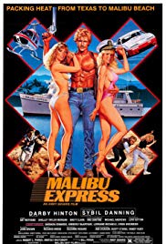 Malibu Express (1985)